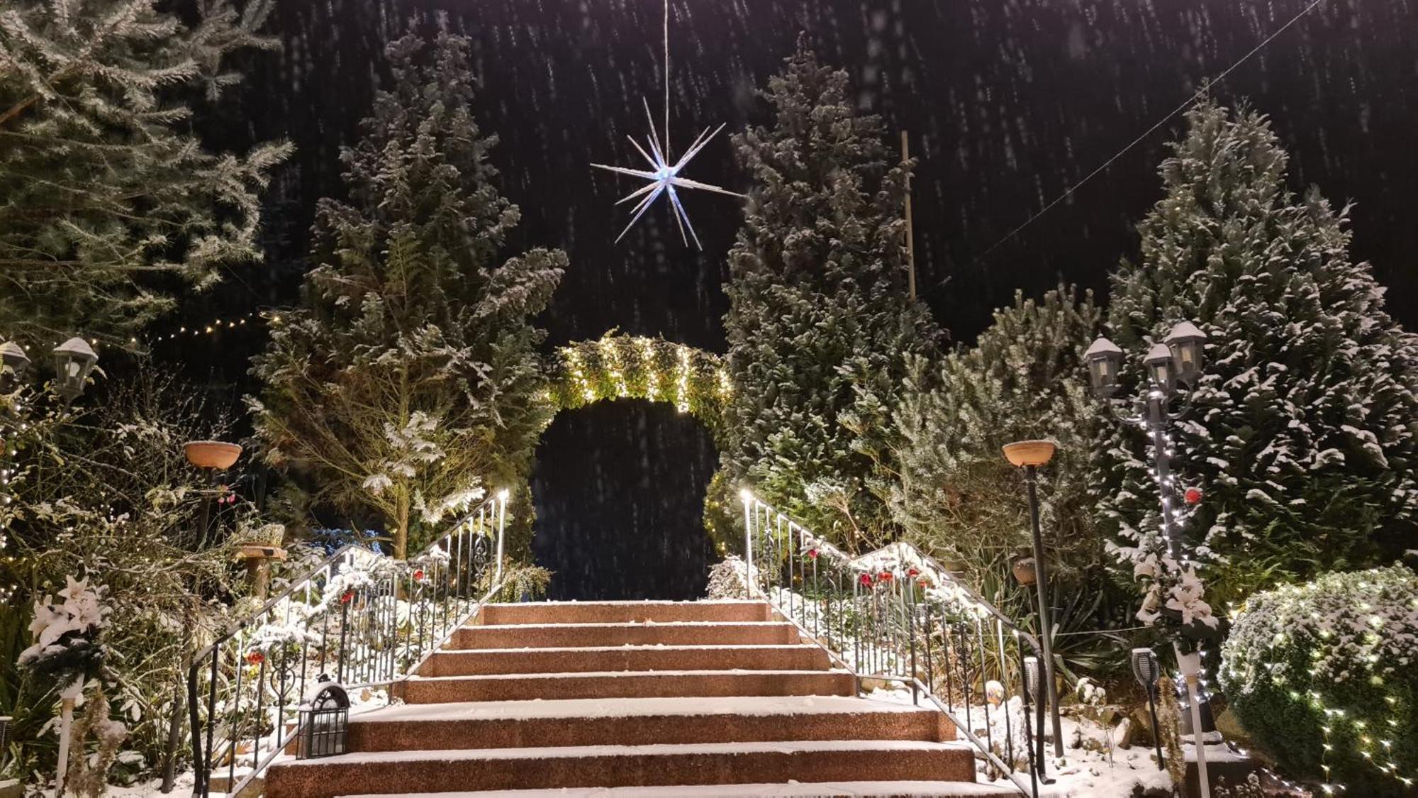 Hotel Am Wald B&B ミッヒェルドルフ エクステリア 写真